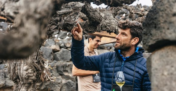 Wine Lovers: Wine Tasting Tour at El Grifo Bodega Lanzarote