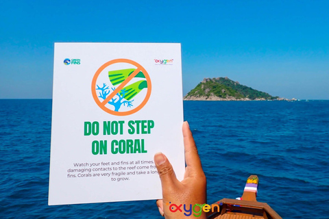 Koh Tao in a Day: Turtles, Hidden Reefs & Nangyuan Viewpoint
