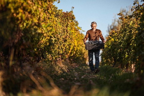 Yerevan: Gevorkian Winery Tour and Tasting Experience