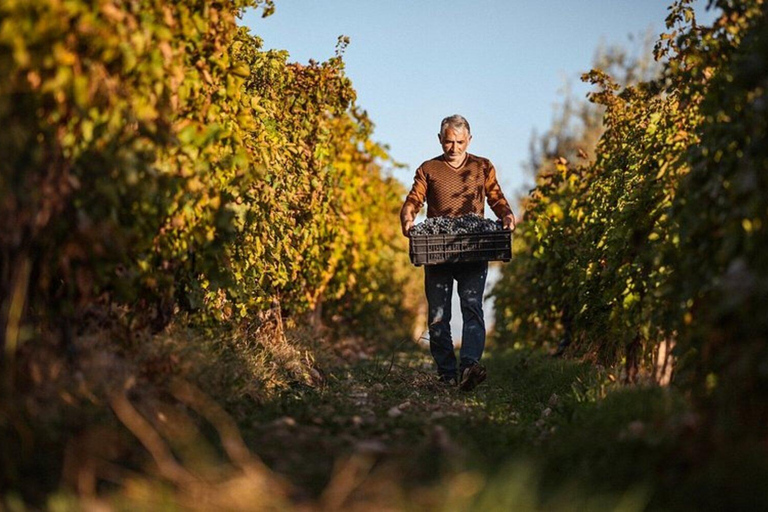 Yerevan: Gevorkian Winery Tour and Tasting Experience