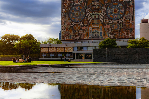 Mexico City: Frida Kahlo City Tour, with optional museum and Xochimilco Basic Option: Doesn't include admission to the Frida Kahlo Museum or lunch