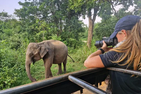 Kandy: 4-Day Sri Lanka Full Circle Private Tour To Colombo
