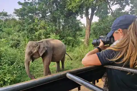 Kandy: 4-daagse Sri Lanka volledige privétour naar Colombo