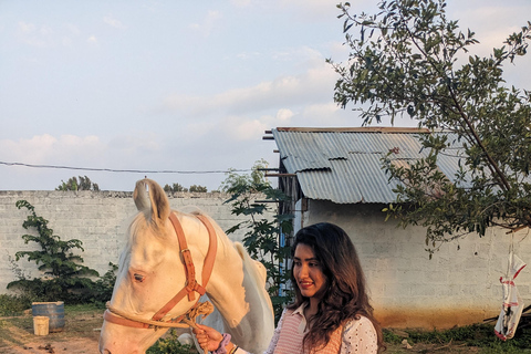Bangalore: Horse Riding Safari Tour