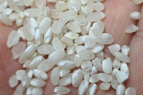 Seoul: Korean Heirloom Rice Cooking Class with Korean Liquor