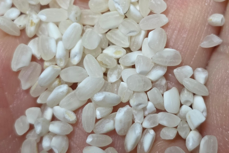 Seoul: Korean Heirloom Rice Cooking Class with Korean Liquor