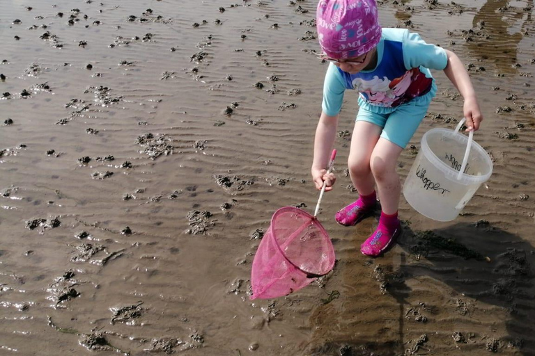 Butjadingen: Guided mudflat hike in the World Natural Heritage Site Butjadingen: Guided mudflat hike in the World Natural Heritage