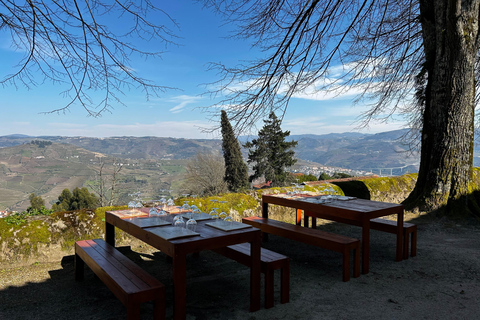 Douro Valley: A Sensory Experience in the Douro: Wines, Olive Oil, and History Douro Valley: Sensory Experience in the Douro: Wines, Olive Oil, and History