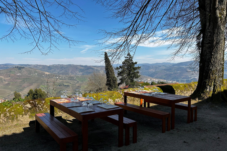 Douro Valley: A Sensory Experience in the Douro: Wines, Olive Oil, and History Douro Valley: Sensory Experience in the Douro: Wines, Olive Oil, and History