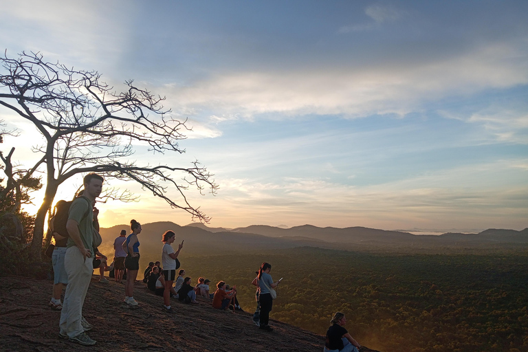Colombo: Sigiriya Rock Fortress & Dambulla Day Trip