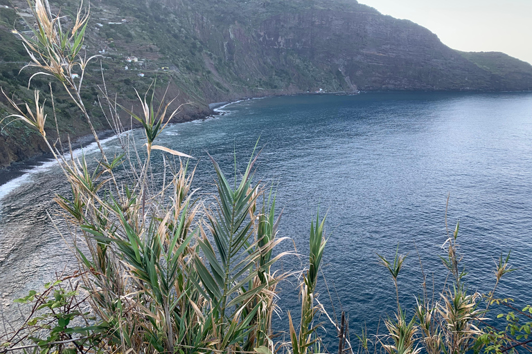 Excursión Este: Excursión clásica en jeep al Este de Madeira - Santana