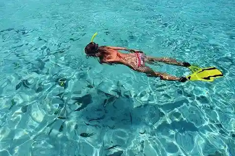 From Phi Phi: Half-Day Snorkeling Trip by Long Tail Boat