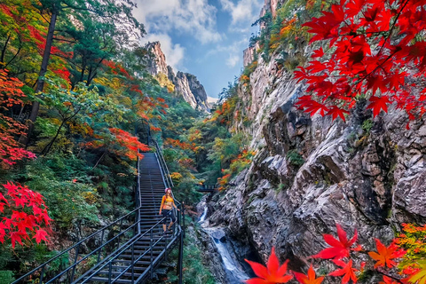 From Seoul: Seoraksan, Naksansa & Naksan Beach Private Tour Group Tour Option Only Thursday