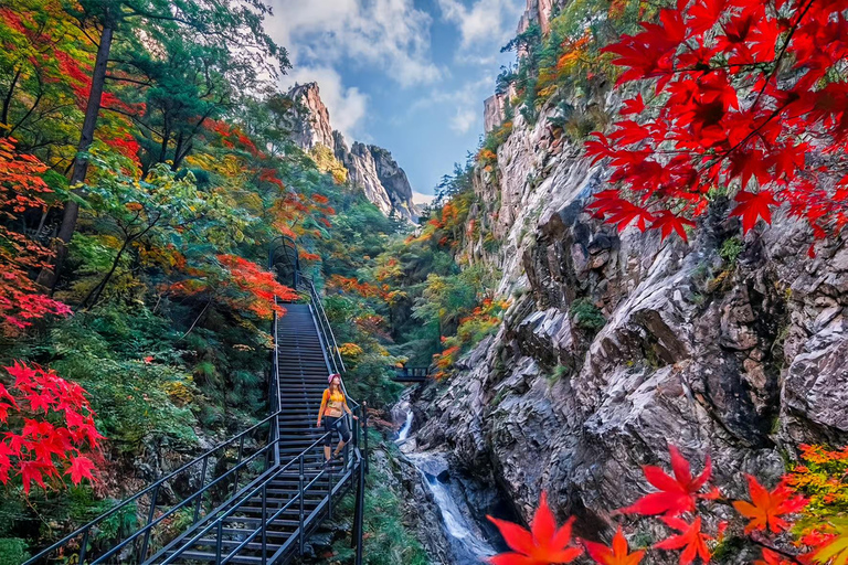 From Seoul: Seoraksan, Naksansa & Naksan Beach Private Tour Group Tour Option Only Thursday