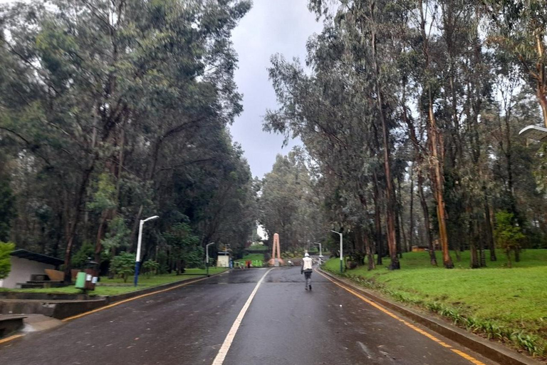 Addis Ababa: Entoto Hills Scenic Drive