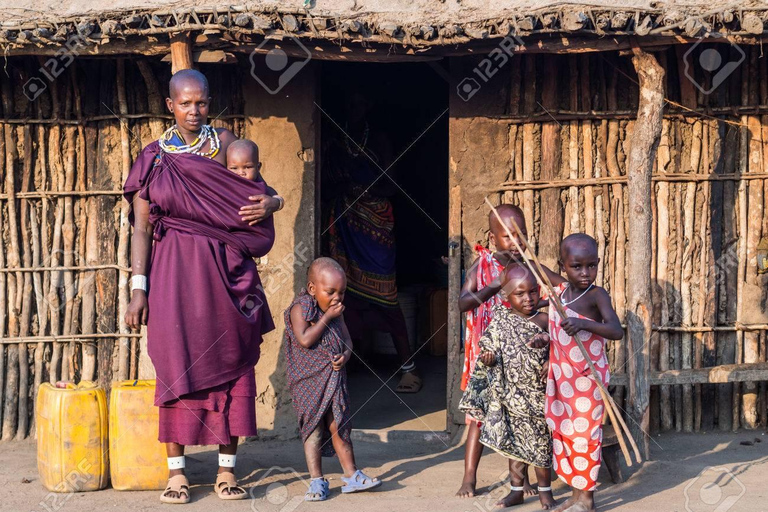 From Nairobi: Masai Village Full Day Tour