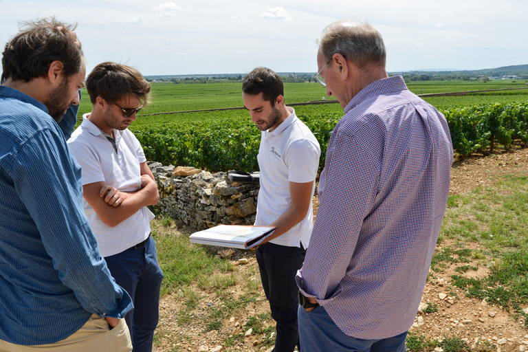 From: Dijon/Beaune: Burgundy Region Winery Tour with Lunch From Dijon