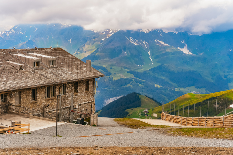 From Zurich: Guided Day Trip to Jungfraujoch with Train Ride