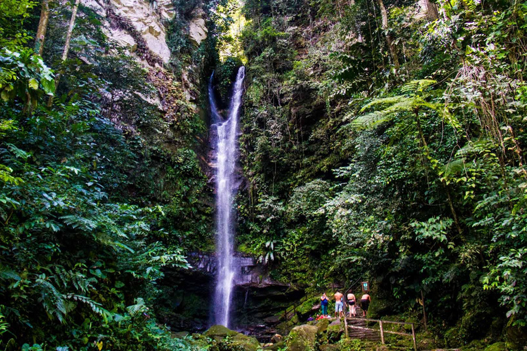 Tarapoto: Tour de medio día a la catarata de Ahuashiyacu