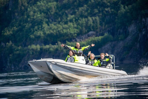 Bergen: Bergen Fjord met Zodiac of pontonboot