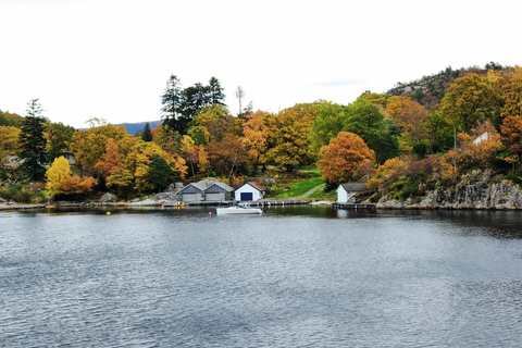 Stavanger: Scenic Fjord Cruise to Lysefjord and Preikestolen