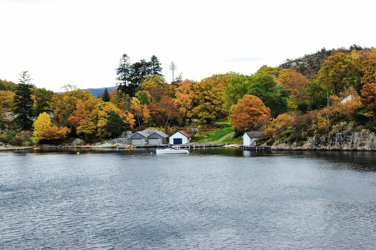 Stavanger: Scenic Fjord Cruise to Lysefjord and Preikestolen