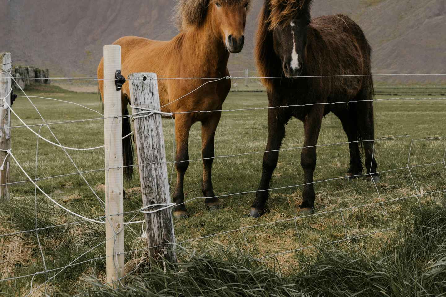 私人黄金圈旅游：专业导游带您畅游