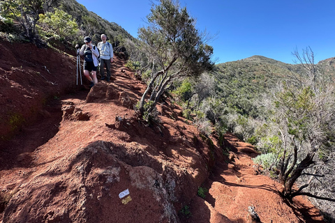 Tenerife: Anaga Hidden Gems Tour with Free Pickup Explore Anaga's hidden gem. Private tour.