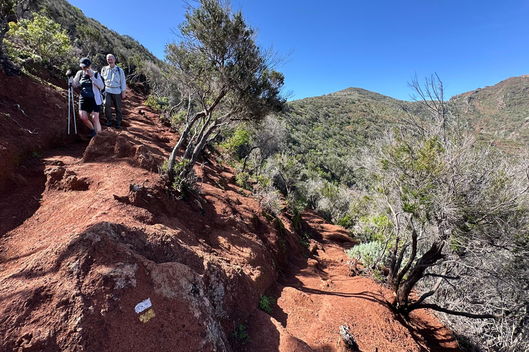 Tenerife: Anaga Hidden Gems Tour with Free Pickup Explore Anaga's hidden gem. Private tour.