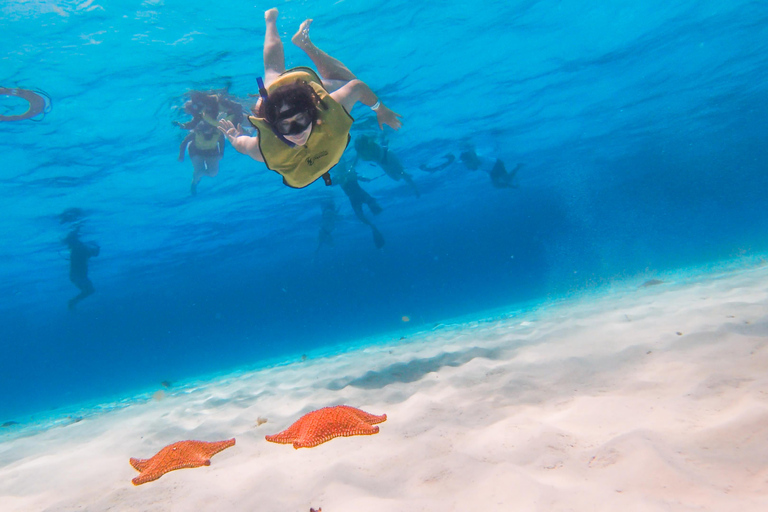 From Cancun: Cozumel Kuza Park & El Cielo Snorkel Tour