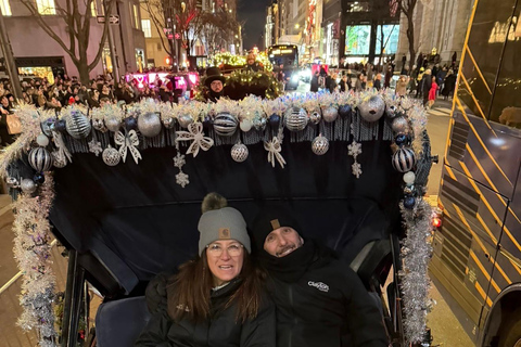 NYC: Central Park Christmas Lights Horse-Drawn Carriage Ride