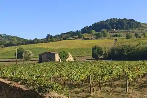 Transfer Siena-Florenz mit Besuch des Chianti und Verkostung