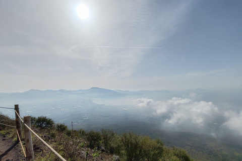 From Naples: Explore the Herculaneum Ruins and Vesuvius HERCULANEUM AND VESUVIUS: TOUR FROM NAPLES BY BUS