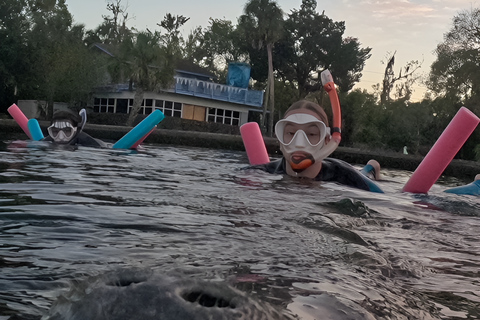 Crystal River: Guided Manatee Tour Heated Boat Free Photos
