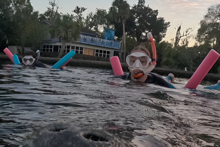 Crystal River: Guided Manatee Tour Heated Boat Free Photos