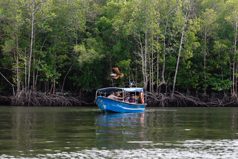 Langkawi Mangrove boottocht op de rivier en privéstrandtourMedium boot (9-12 personen)