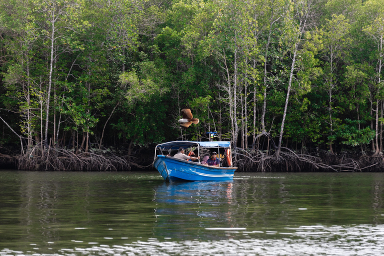 Langkawi Mangrove boottocht op de rivier en privéstrandtourMedium boot (9-12 personen)