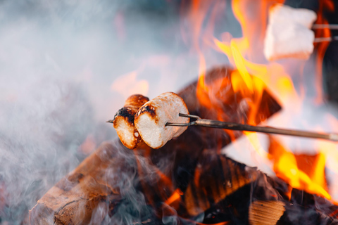 Oslo : Marche aux flambeaux dans la forêt enneigée avec feu de camp