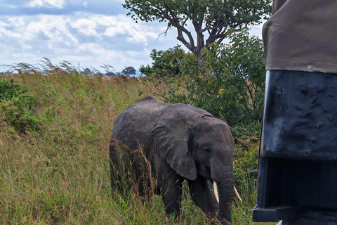 From Zanzibar: Mikumi Safari Day Trip with Flights and Lunch Mikumi Shared Safari without hotel transfer