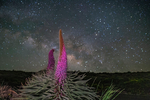 La Palma: Stargazing Experience with an Expert Astronomer