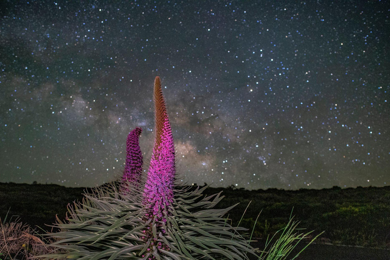 La Palma: Stargazing Experience with an Expert Astronomer