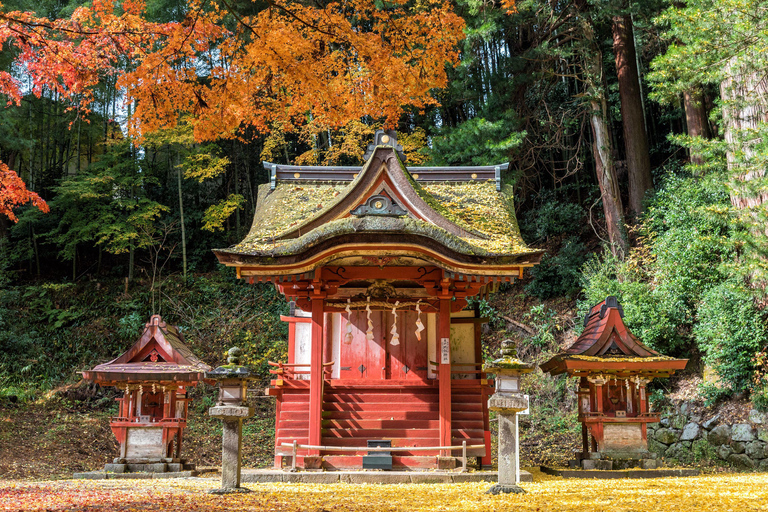 Osaka: Nara, Akame 48 Waterfalls & Tanzan Shrine Tour Shared Tour, Meet at Tsurutontan Soemoncho