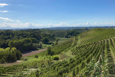 Noleggio E-Bike nel RoeroNoleggio E-Bike nel Roero - Giornata Intera
