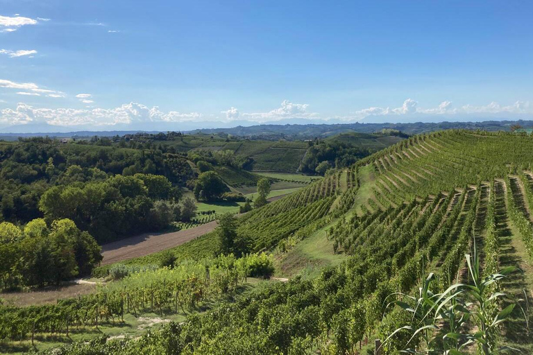 Noleggio E-Bike nel RoeroNoleggio E-Bike nel Roero - Giornata Intera