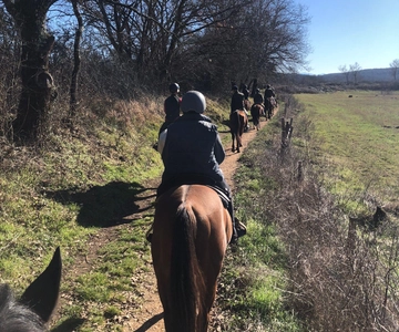 Siena: Horseback Tour on the Via Francigena