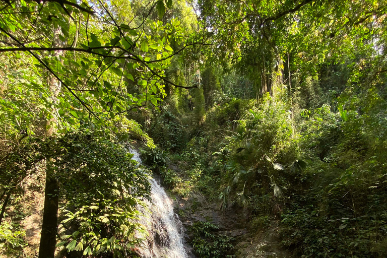 Minca: Tour en Finca de Café y caminada a hermosa cascada