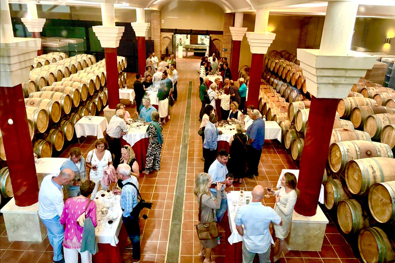 Au départ de Cadix : excursion privée premium d&#039;une journée à Ronda avec dégustation de vinsGROUPE JUSQU&#039;À 6 PERSONNES