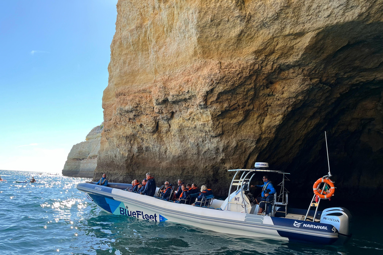 Combo: Benagil & Dolphins Boat Tour w/ Marine Biologists