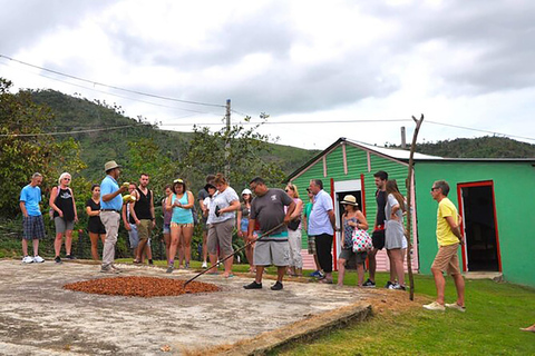 Punta Cana: Safari in camion di mezza giornata con pranzo a buffet