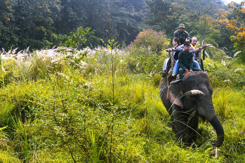 3 noce 4 dni: Park Narodowy Chitwan z noclegiem w wieży